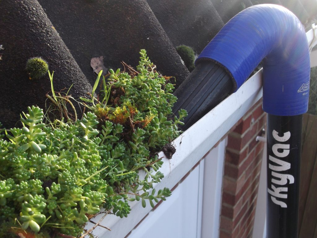 Moss Removal from Guttering